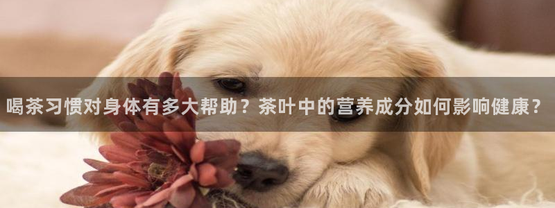 安信招商rk金12手12指jc