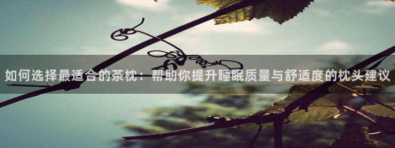 安信12主管