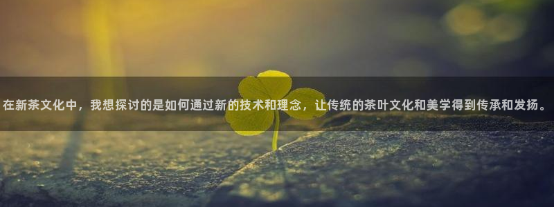 安信12位资金账号