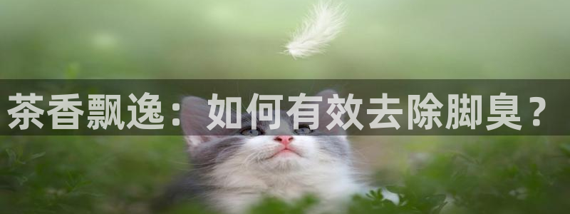 安立信12改装