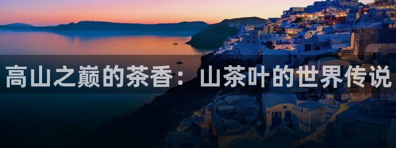 安信12级粉丝团福利
