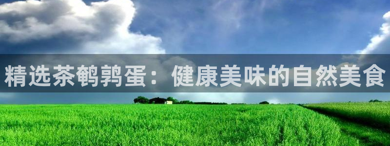 安卓12微信