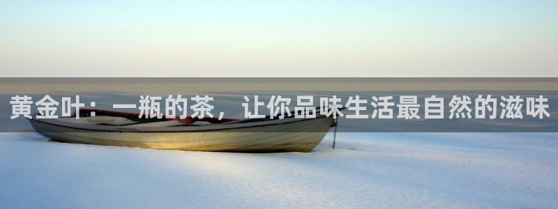 安信12真假