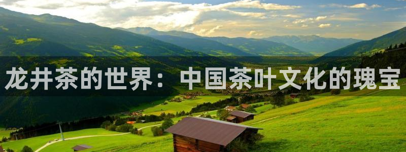 安信12代理
