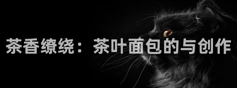 安信12平台
