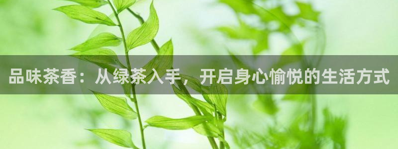 安信cwa12