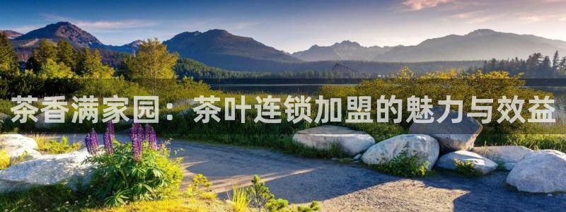 安信可12f