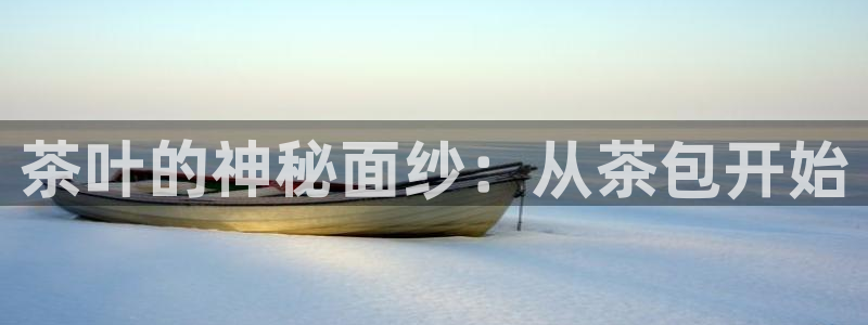 安信t12