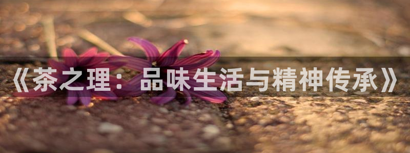 安信12怎么下载