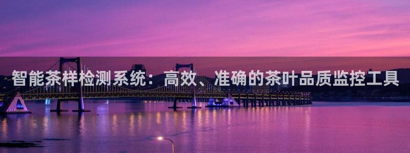 安信12级大众