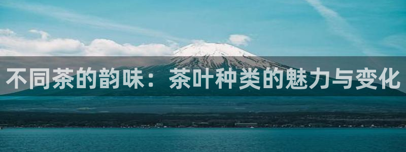 安信12是什么平台