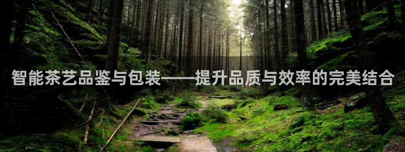 安信12靠谱吗