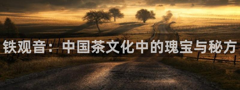 安信安赢12号