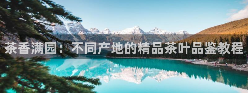 安信12彩票