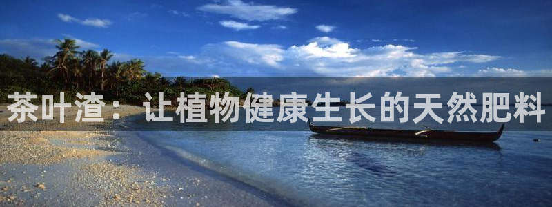安卓12微信