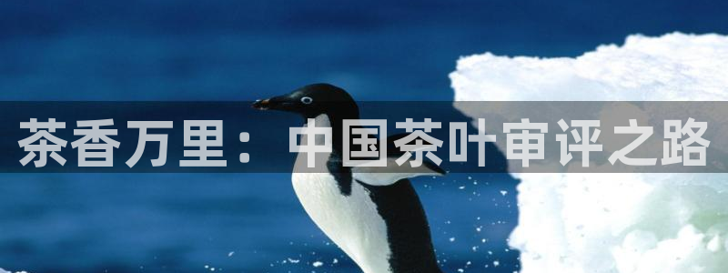 esp-12s安信