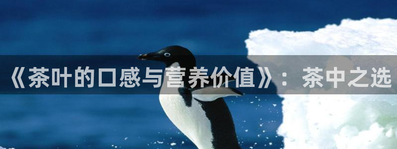 安信12娱乐