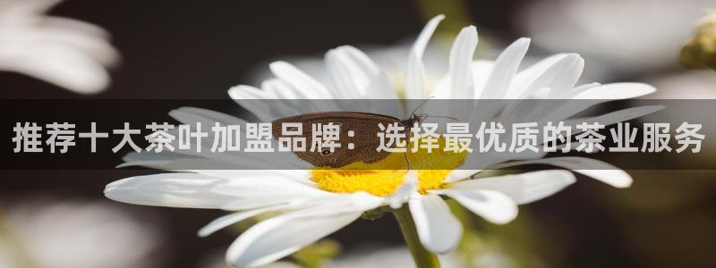 安信12网站