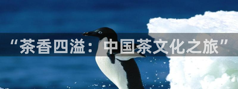 信安12乐打棒