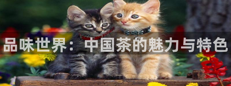 信安12乐打棒