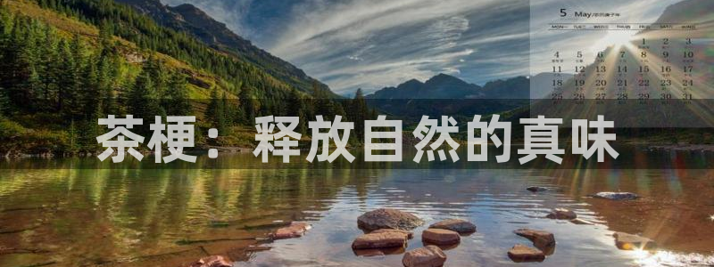 安信12是什么软件