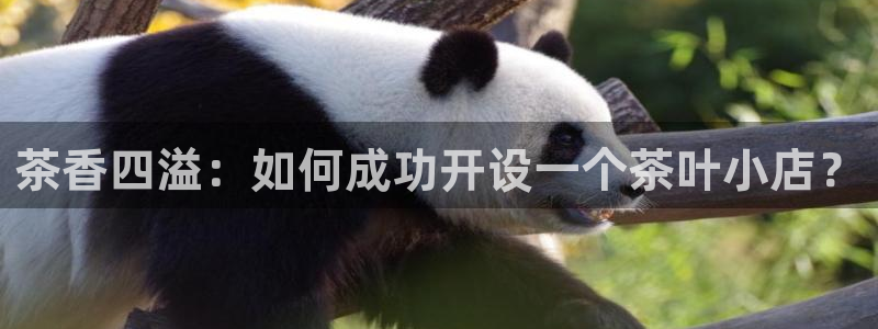 安信12娱乐主管