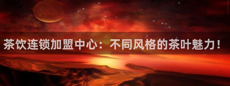 安信12月金股