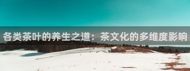 安信12位资金账号