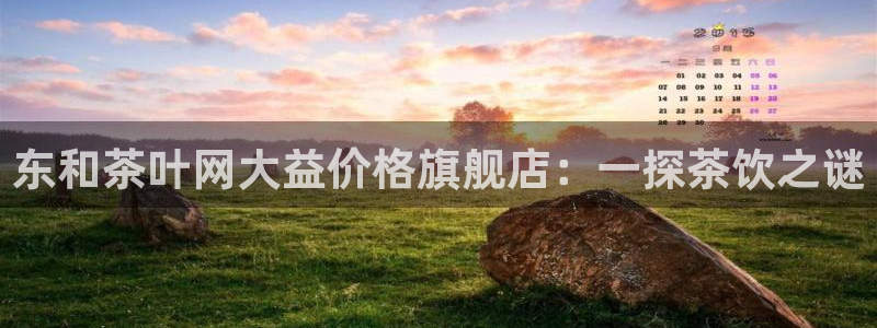 安信12级大众