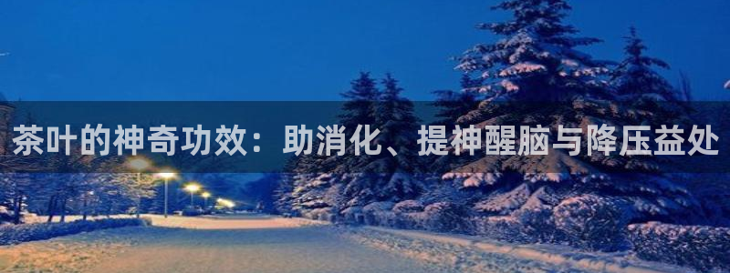 安信安赢12号