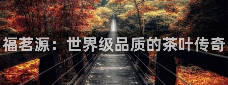 安信12正版下载