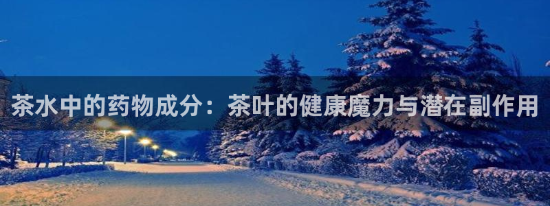 安信12月金股