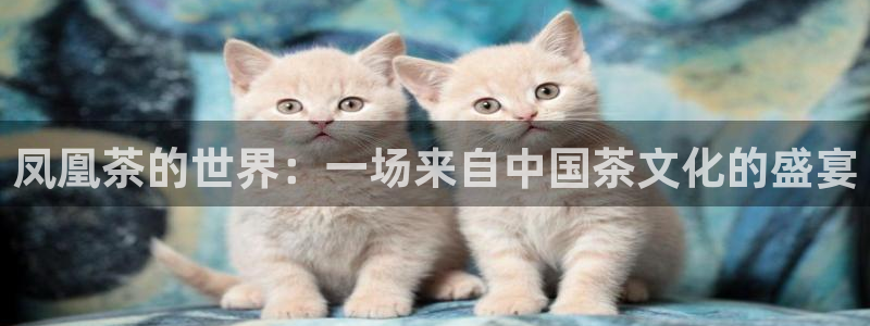 安信12网页版