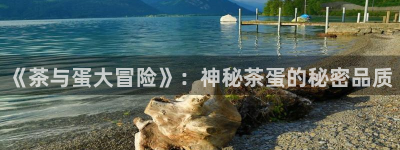 安信12平台可靠吗