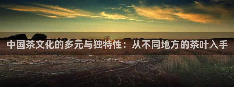 安信12负责人
