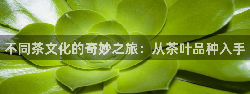 安信4娱乐去55 12