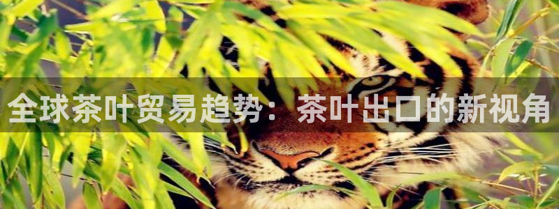 安信可12f代码