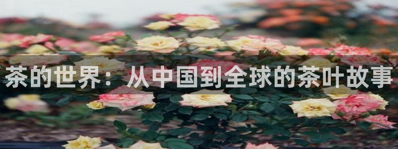 如何注销安信12软件