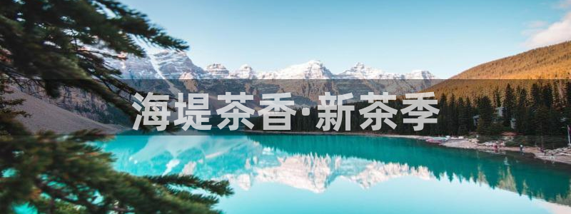 安信esp12