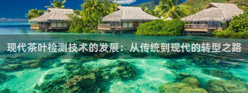 安信12主管