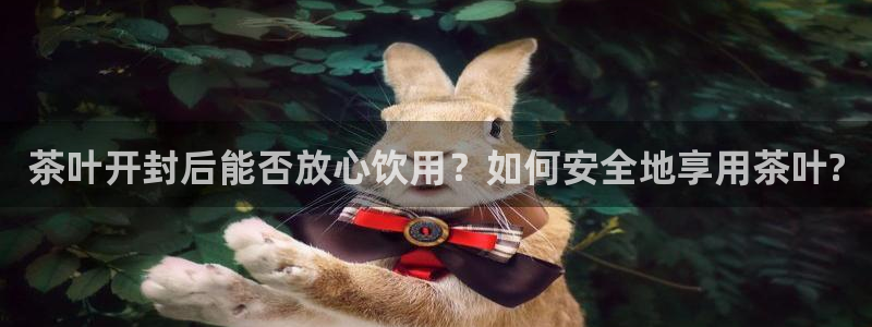 安信锐赢134号12月