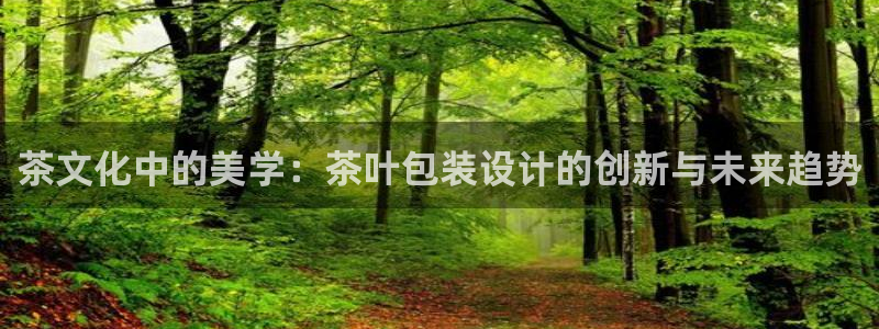 安信12招商