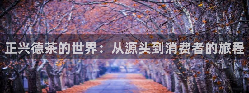 安信12app