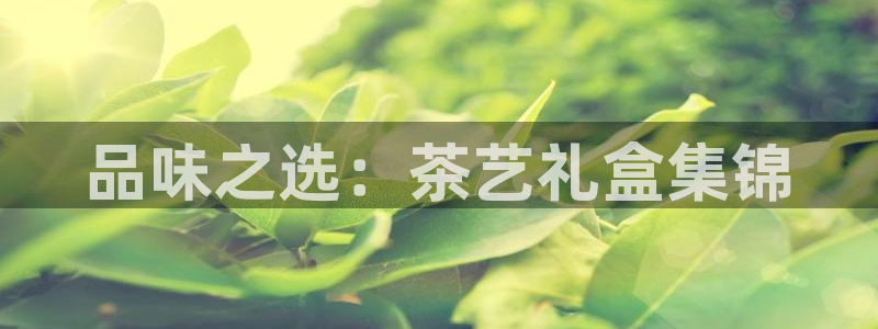 安信12是什么平台
