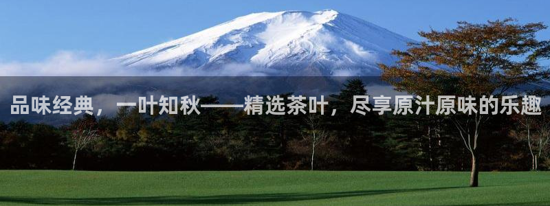安信12正版下载