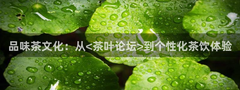 安信12想开户