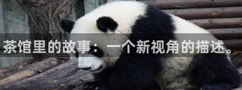 安信12想开户