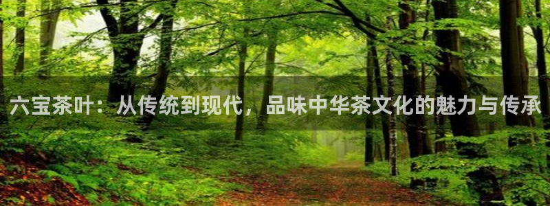 安信12是正规还是仿