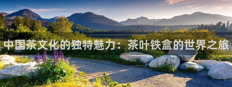 安信12周年庆