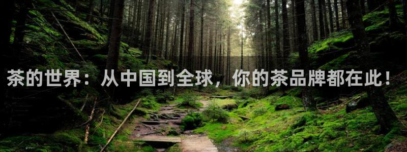 安信12位数资金号